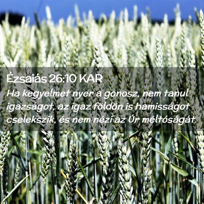 Picture 02 - Ézsaiás 26:10 KAR - Ha kegyelmet nyer a gonosz, nem tanul igazságot, - Bible Verse Picture