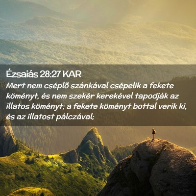 Picture 02 - Ézsaiás 28:27 KAR - Mert nem cséplõ szánkával csépelik a fekete - Bible Verse Picture