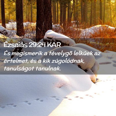 Picture 02 - Ézsaiás 29:24 KAR - És megismerik a tévelygõ lelkûek az - Bible Verse Picture