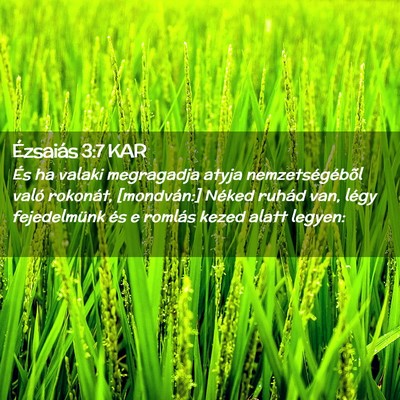 Picture 02 - Ézsaiás 3:7 KAR - És ha valaki megragadja atyja nemzetségébõl - Bible Verse Picture