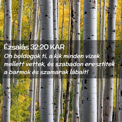 Picture 02 - Ézsaiás 32:20 KAR - Oh boldogok ti, a kik minden vizek mellett - Bible Verse Picture
