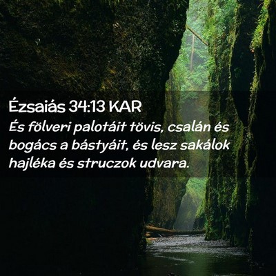 Picture 02 - Ézsaiás 34:13 KAR - És fölveri palotáit tövis, csalán és - Bible Verse Picture