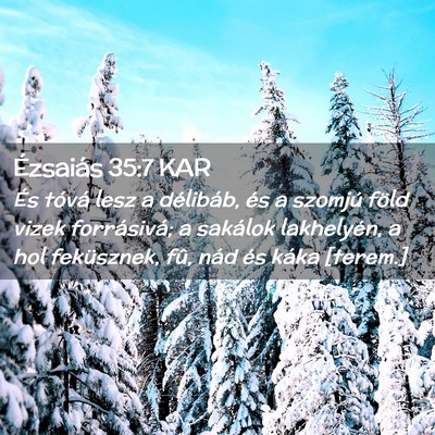 Picture 02 - Ézsaiás 35:7 KAR - És tóvá lesz a délibáb, és a szomjú föld - Bible Verse Picture
