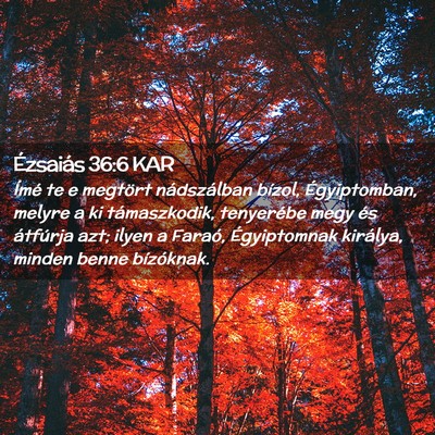 Picture 02 - Ézsaiás 36:6 KAR - Ímé te e megtört nádszálban bízol, - Bible Verse Picture