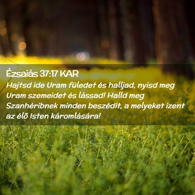 Picture 02 - Ézsaiás 37:17 KAR - Hajtsd ide Uram füledet és halljad, nyisd meg - Bible Verse Picture