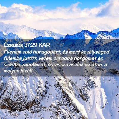 Picture 02 - Ézsaiás 37:29 KAR - Ellenem való haragodért, és mert kevélységed - Bible Verse Picture