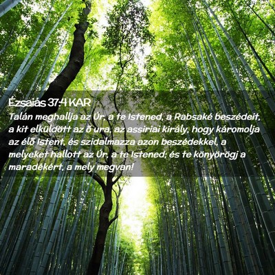 Picture 02 - Ézsaiás 37:4 KAR - Talán meghallja az Úr, a te Istened, a Rabsaké - Bible Verse Picture