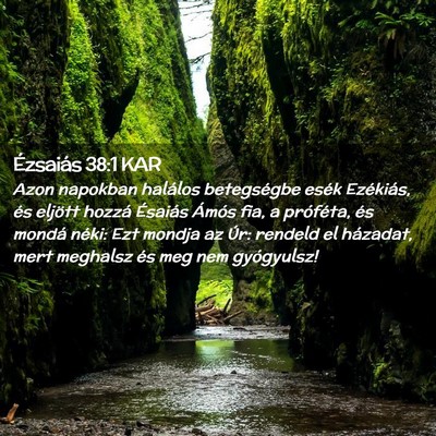 Picture 02 - Ézsaiás 38:1 KAR - Azon napokban halálos betegségbe esék - Bible Verse Picture