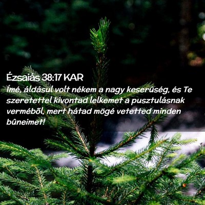 Picture 02 - Ézsaiás 38:17 KAR - Ímé, áldásul volt nékem a nagy keserûség, - Bible Verse Picture