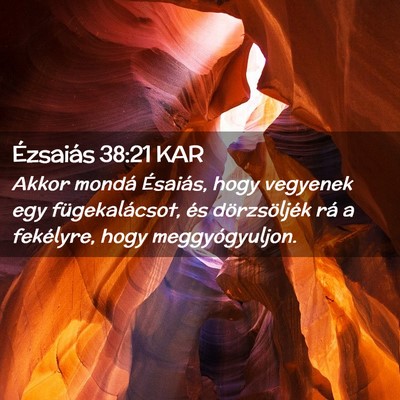 Picture 02 - Ézsaiás 38:21 KAR - Akkor mondá Ésaiás, hogy vegyenek egy - Bible Verse Picture