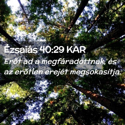 Picture 02 - Ézsaiás 40:29 KAR - Erõt ad a megfáradottnak, és az erõtlen - Bible Verse Picture