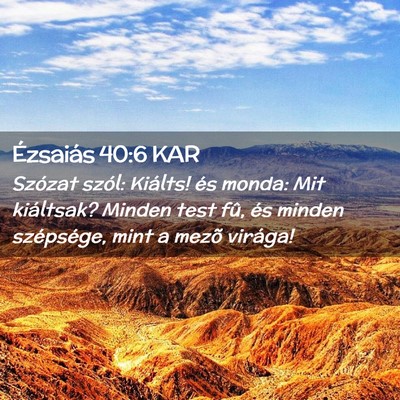 Picture 02 - Ézsaiás 40:6 KAR - Szózat szól: Kiálts! és monda: Mit kiáltsak? - Bible Verse Picture