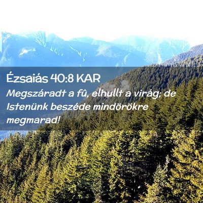 Picture 02 - Ézsaiás 40:8 KAR - Megszáradt a fû, elhullt a virág; de Istenünk - Bible Verse Picture