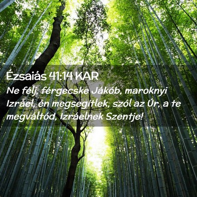 Picture 02 - Ézsaiás 41:14 KAR - Ne félj, férgecske Jákób, maroknyi Izráel, - Bible Verse Picture
