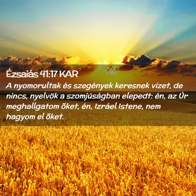 Picture 02 - Ézsaiás 41:17 KAR - A nyomorultak és szegények keresnek vizet, de - Bible Verse Picture