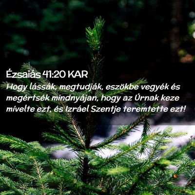 Picture 02 - Ézsaiás 41:20 KAR - Hogy lássák, megtudják, eszökbe vegyék és - Bible Verse Picture