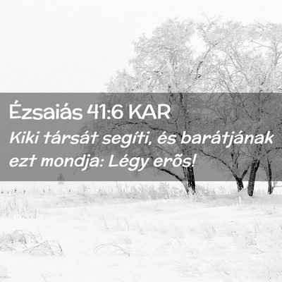 Picture 02 - Ézsaiás 41:6 KAR - Kiki társát segíti, és barátjának ezt - Bible Verse Picture