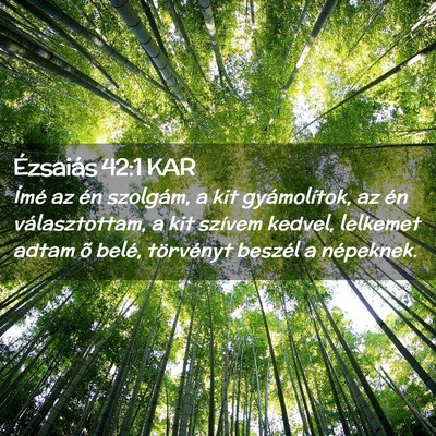 Picture 02 - Ézsaiás 42:1 KAR - Ímé az én szolgám, a kit gyámolítok, az én - Bible Verse Picture