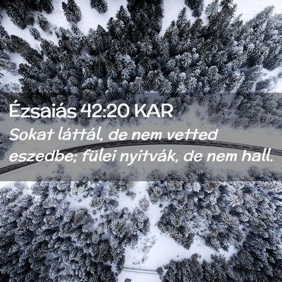 Picture 02 - Ézsaiás 42:20 KAR - Sokat láttál, de nem vetted eszedbe; fülei - Bible Verse Picture