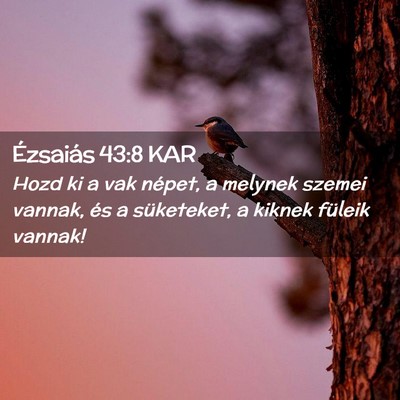 Picture 02 - Ézsaiás 43:8 KAR - Hozd ki a vak népet, a melynek szemei vannak, - Bible Verse Picture