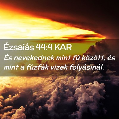 Picture 02 - Ézsaiás 44:4 KAR - És nevekednek mint fû között, és mint a - Bible Verse Picture