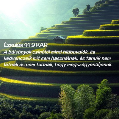 Picture 02 - Ézsaiás 44:9 KAR - A bálványok csinálói mind hiábavalók, és - Bible Verse Picture
