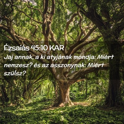 Picture 02 - Ézsaiás 45:10 KAR - Jaj annak, a ki atyjának mondja: Miért nemzesz? - Bible Verse Picture