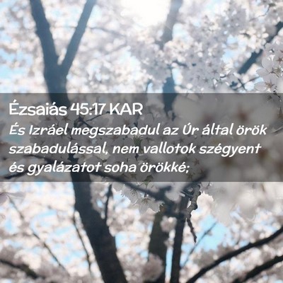 Picture 02 - Ézsaiás 45:17 KAR - És Izráel megszabadul az Úr által örök - Bible Verse Picture