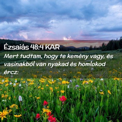 Picture 02 - Ézsaiás 48:4 KAR - Mert tudtam, hogy te kemény vagy, és - Bible Verse Picture