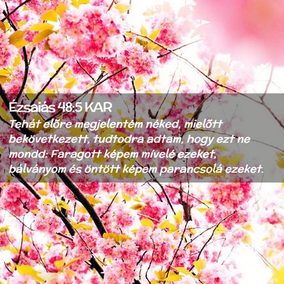 Picture 02 - Ézsaiás 48:5 KAR - Tehát elõre megjelentém néked, mielõtt - Bible Verse Picture