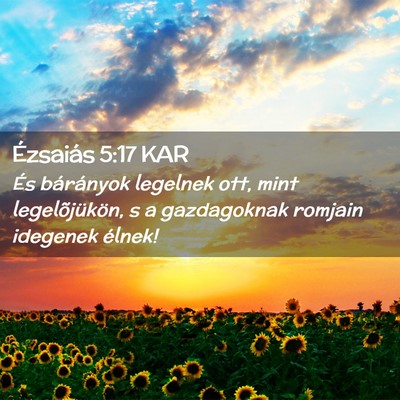 Picture 02 - Ézsaiás 5:17 KAR - És bárányok legelnek ott, mint legelõjükön, - Bible Verse Picture