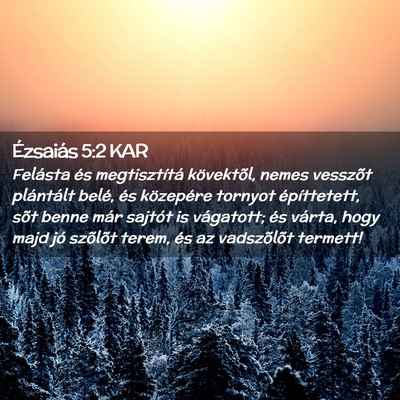 Picture 02 - Ézsaiás 5:2 KAR - Felásta és megtisztítá kövektõl, nemes - Bible Verse Picture