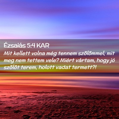 Picture 02 - Ézsaiás 5:4 KAR - Mit kellett volna még tennem szõlõmmel; mit - Bible Verse Picture