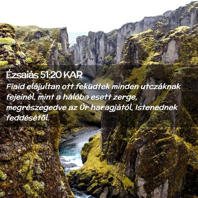 Picture 02 - Ézsaiás 51:20 KAR - Fiaid elájultan ott feküdtek minden utczáknak - Bible Verse Picture