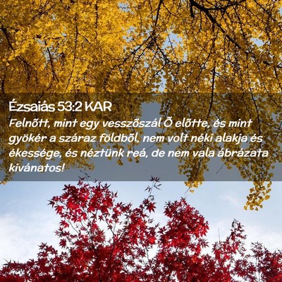 Picture 02 - Ézsaiás 53:2 KAR - Felnõtt, mint egy vesszõszál Õ elõtte, és - Bible Verse Picture