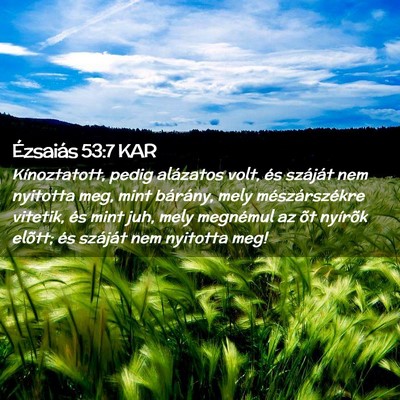 Picture 02 - Ézsaiás 53:7 KAR - Kínoztatott, pedig alázatos volt, és száját - Bible Verse Picture