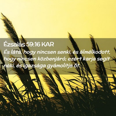 Picture 02 - Ézsaiás 59:16 KAR - És látá, hogy nincsen senki, és - Bible Verse Picture