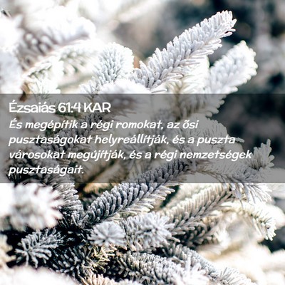 Picture 02 - Ézsaiás 61:4 KAR - És megépítik a régi romokat, az õsi - Bible Verse Picture