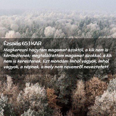 Picture 02 - Ézsaiás 65:1 KAR - Megkeresni hagytam magamat azoktól, a kik nem is - Bible Verse Picture