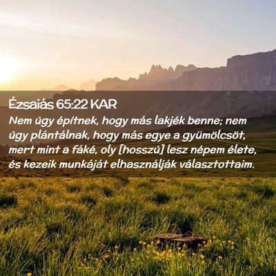 Picture 02 - Ézsaiás 65:22 KAR - Nem úgy építnek, hogy más lakjék benne; nem - Bible Verse Picture