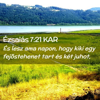 Picture 02 - Ézsaiás 7:21 KAR - És lesz ama napon, hogy kiki egy fejõstehenet - Bible Verse Picture