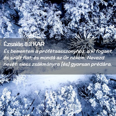 Picture 02 - Ézsaiás 8:3 KAR - És bementem a prófétaasszonyhoz, a ki fogant, - Bible Verse Picture