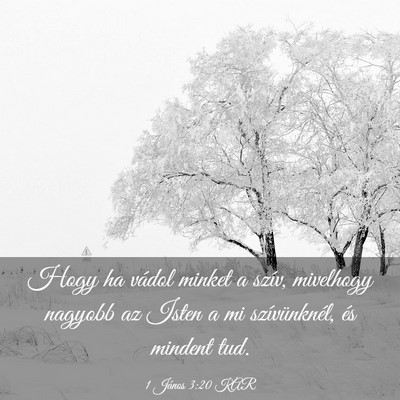 Picture 03 - 1 János 3:20 KAR - Hogy ha vádol minket a szív, mivelhogy nagyobb - Bible Verse Picture