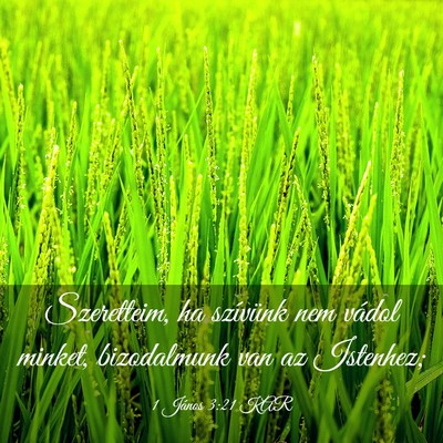 Picture 03 - 1 János 3:21 KAR - Szeretteim, ha szívünk nem vádol minket, - Bible Verse Picture