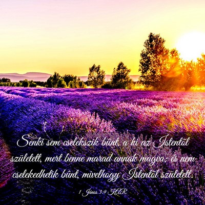 Picture 03 - 1 János 3:9 KAR - Senki sem cselekszik bûnt, a ki az Istentõl - Bible Verse Picture