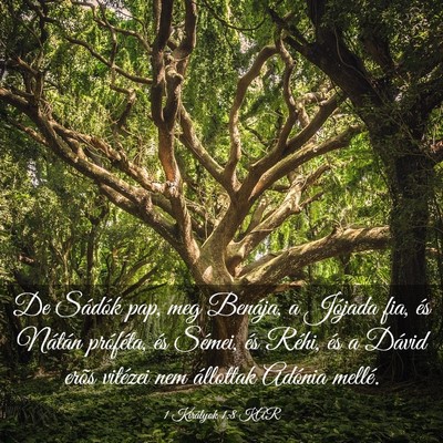 Picture 03 - 1 Királyok 1:8 KAR - De Sádók pap, meg Benája, a Jójada fia, és - Bible Verse Picture