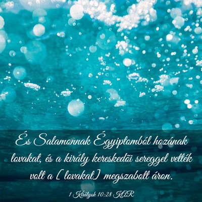 Picture 03 - 1 Királyok 10:28 KAR - És Salamonnak Égyiptomból hozának lovakat, - Bible Verse Picture
