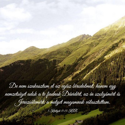 Picture 03 - 1 Királyok 11:13 KAR - De nem szakasztom el az egész birodalmat; hanem - Bible Verse Picture