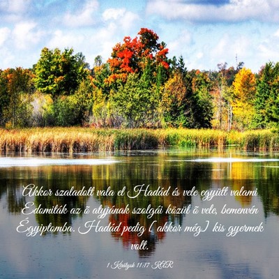 Picture 03 - 1 Királyok 11:17 KAR - Akkor szaladott vala el Hadád és vele együtt - Bible Verse Picture