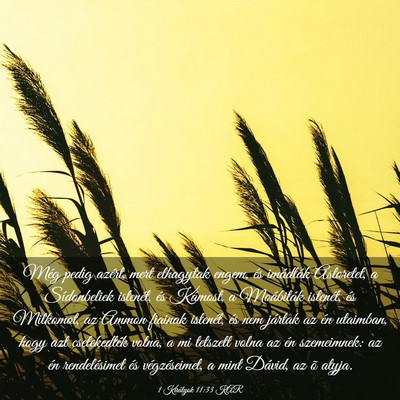 Picture 03 - 1 Királyok 11:33 KAR - Még pedig azért, mert elhagytak engem, és - Bible Verse Picture